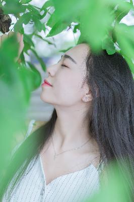 剑来第二季在线观看