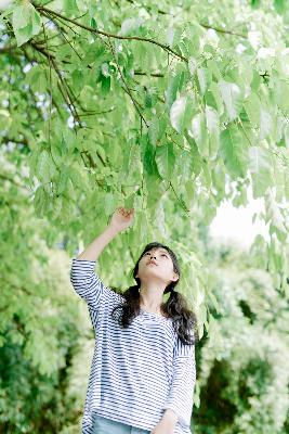 金牌影院电视剧在线观看