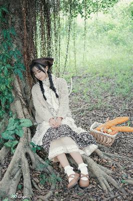 朱元璋电视剧全集免费观看